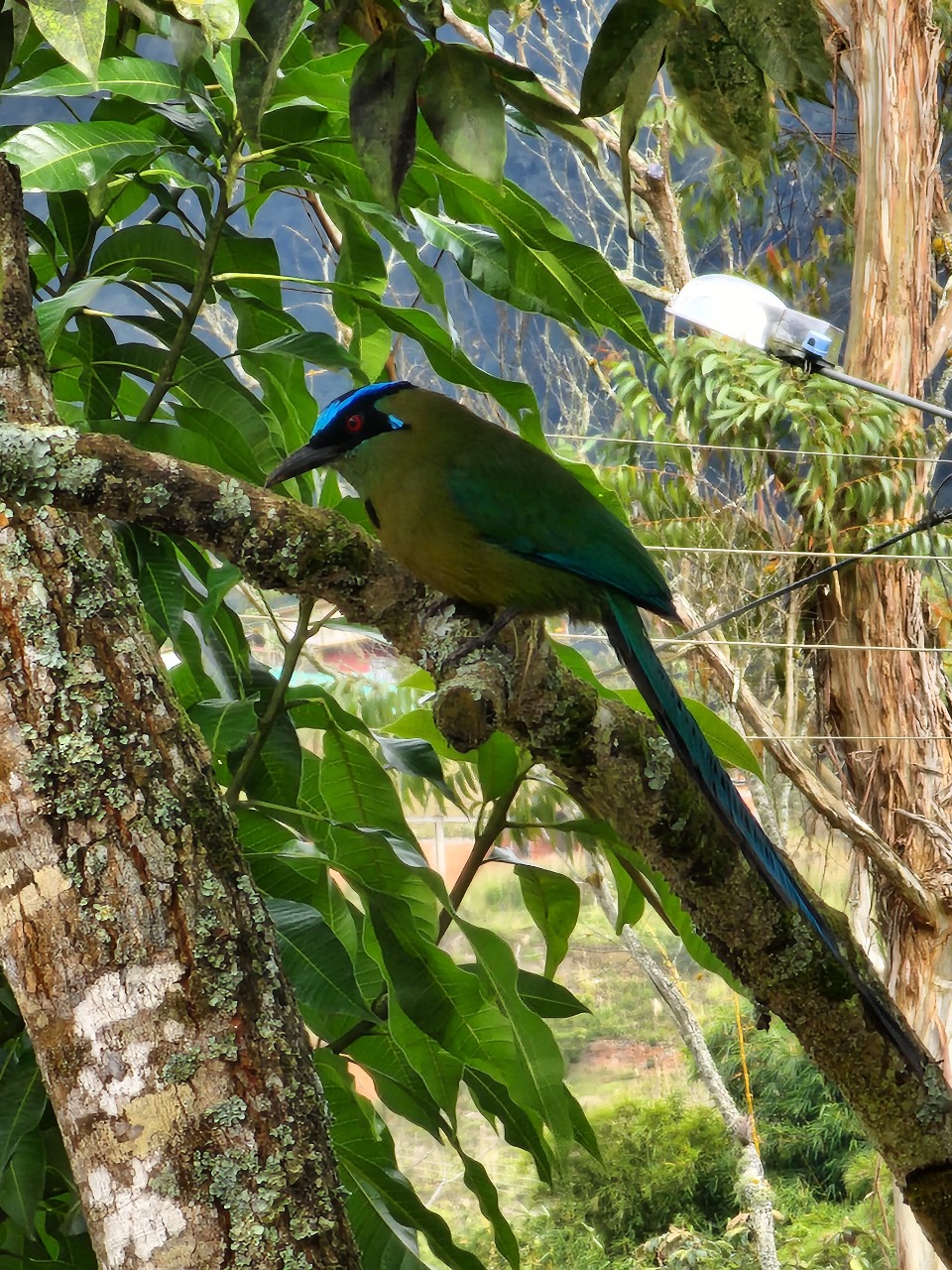 Protección de la Biodiversidad